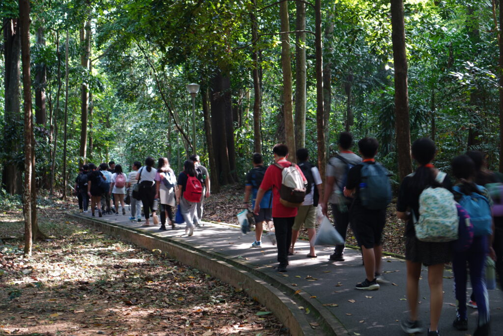 Students walking in a line as they head toward the park for an outdoor activity.